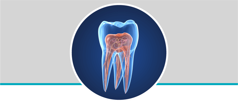 Endodoncia
